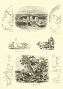 Pagina uit Het Picturale Museum van Geanimeerde Natuur door English School