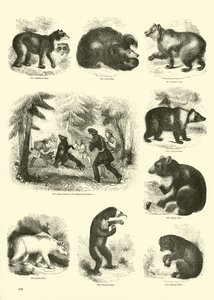 Pagina uit Het Picturale Museum van Geanimeerde Natuur