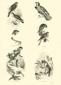 Pagina uit Het Picturale Museum van Geanimeerde Natuur door English School