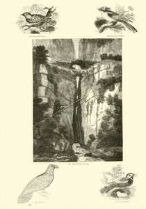 Pagina uit Het Picturale Museum van Geanimeerde Natuur