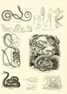 Pagina uit Het Picturale Museum van Geanimeerde Natuur