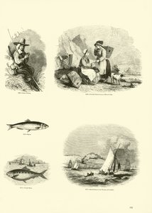 Pagina uit Het Picturale Museum van Geanimeerde Natuur