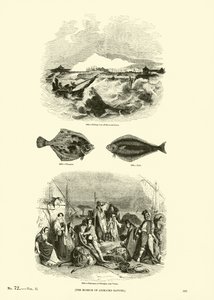 Pagina uit Het Picturale Museum van Geanimeerde Natuur door English School