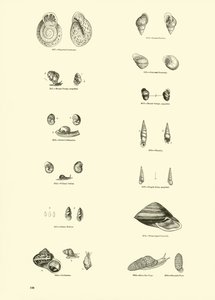 Pagina uit Het Picturale Museum van Geanimeerde Natuur door English School