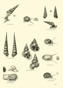 Pagina uit Het Picturale Museum van Geanimeerde Natuur