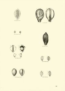 Pagina uit Het Picturale Museum van Geanimeerde Natuur door English School