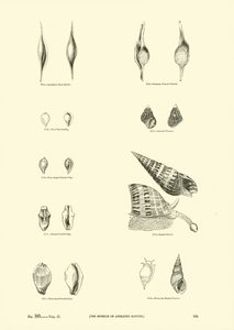 Pagina uit Het Picturale Museum van Geanimeerde Natuur