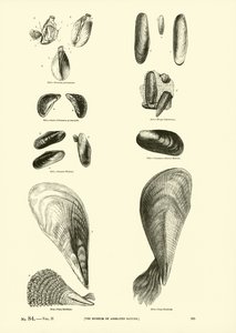 Pagina uit Het Picturale Museum van Geanimeerde Natuur door English School