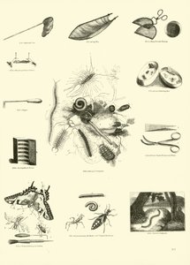 Pagina uit Het Picturale Museum van Geanimeerde Natuur