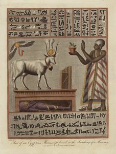 Deel van een Egyptisch Manuscript gevonden in de Omhulling van een Mummie door English School