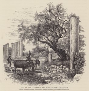 Deel van de Colonnade die ooit Samaria omcirkelde (gravure) door English School