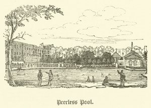 Peerless Pool