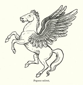 Pegasus rijzend