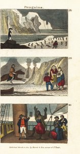 Pinguïns in Zuid-Amerika, Patagonische reuzen in dierenhuiden en Patagoniërs verrukt door het zien van een spiegel op het schip van kapitein Samuel Wallis door English School