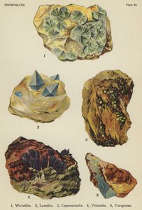 Fosfaten, wavelliet, lazuliet, cuprouraniet, vivianiet, turkoois