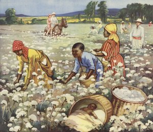 Katoen plukken op een Amerikaanse plantage