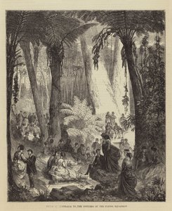Picknick in Australië voor de officieren van het vliegende squadron (gravure) door English School