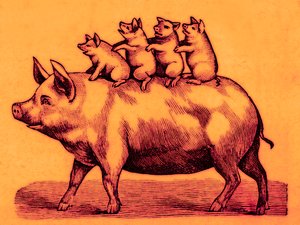 Varken met biggen, illustratie uit Coles Funny Picture Book