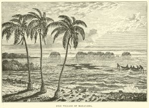 Paaldorp van Maracaibo
