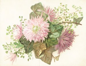 Roze Bloemen (Dahlia), Kaart door English School
