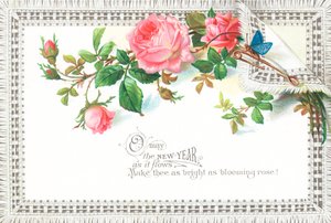 Roze rozen en blauwe vlinder