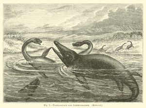 Plesiosaurus en Ichthyosaurus door English School
