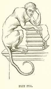 Dichter Pug