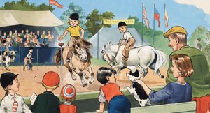 Pony