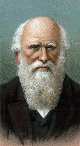 Portret van Charles Robert Darwin (1809-1882) - Uit de serie 