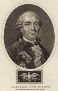 Portret van Georges-Louis Leclerc, Graaf de Buffon door English School