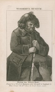 Portret van Peter de Wilde Jongen
