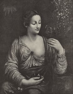 Portret van een jonge dame door English School