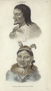 Portretten van een Koperen Indiaan en een Rocky Mountain Indiaan door English School