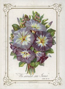 Boeket bloemen door English School