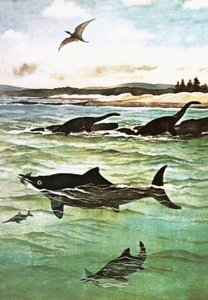 Prehistorische zeedieren door English School