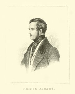 Prins Albert door English School