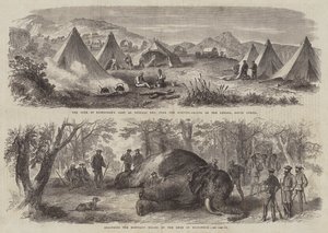 Prins Arthur in Zuid-Afrika (gravure)