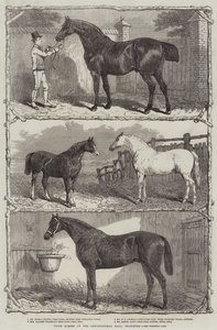 Prijswinnaars op de Agricultural Hall, Islington (gravure)