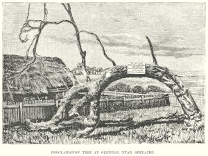 Proclamatieboom in Glenelg, bij Adelaide (gravure)