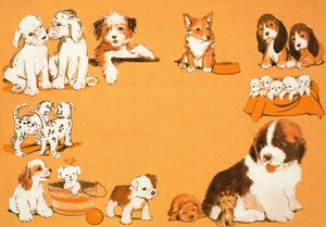 Puppyhonden
