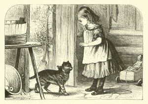 Poesje, Poesje