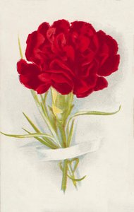Rode anjer (chromolitho) door English School