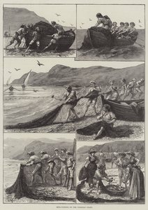 Reta-vissen aan de Corsicaanse kust (gravure) door English School