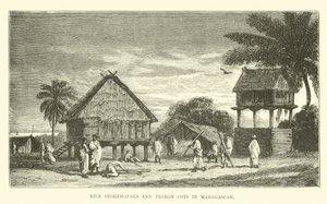Rijstschuren en duiventillen in Madagaskar