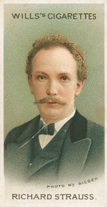 Richard Strauss door English School
