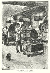 Cacaonibs roosteren (gravure) door English School