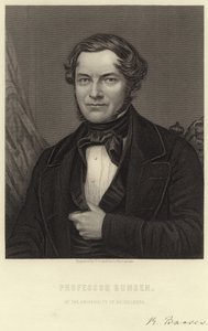 Robert Bunsen door English School