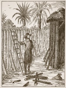 Robinson Crusoe bouwt zijn prieel, illustratie uit Het verhaal van Robinson Crusoe: Een bewerking voor kinderen volgens Defoes taal, uitgegeven door Griffith Farran Browne & Co. Limited, Londen door English School