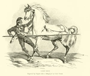 Romeins Paard