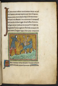 Royal 12 F.XIII, f.16 Een jager die een pijl op een dier schiet, Bestiarium (ff. 3-141), Lapidarium (ff. 141v-149), 2e kwart van de 13e eeuw